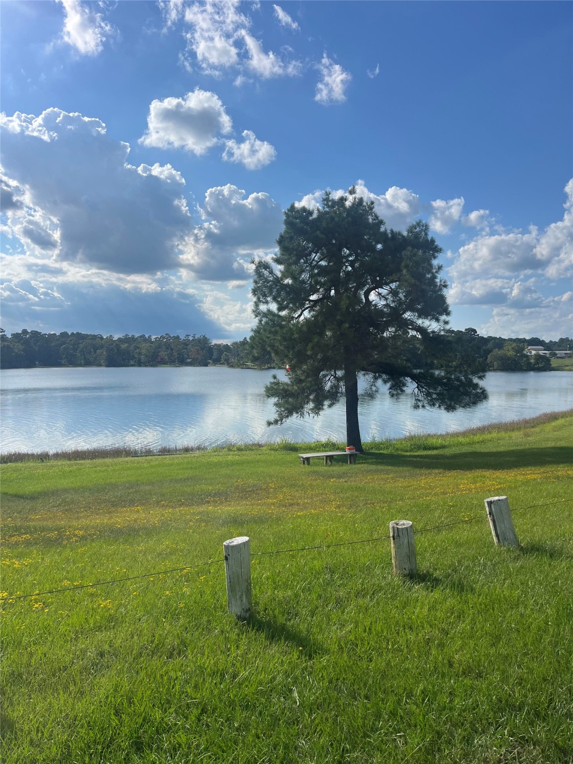 13181 Royal Springs Road Conroe, TX 77303 - Photo 10 of 10 a view of a lake with a big yard