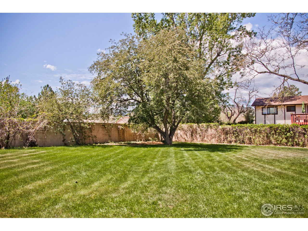 2614 West Prospect Road Fort Collins, CO 80526 - Photo 3 of 40 Front Yard looking SW