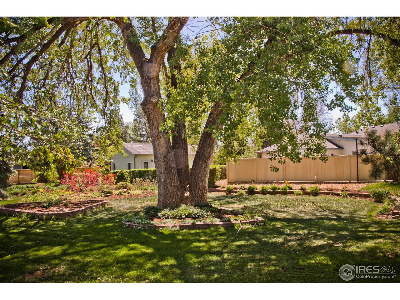 2614 West Prospect Road Fort Collins, CO 80526 - Photo 33 of 40 Backyard