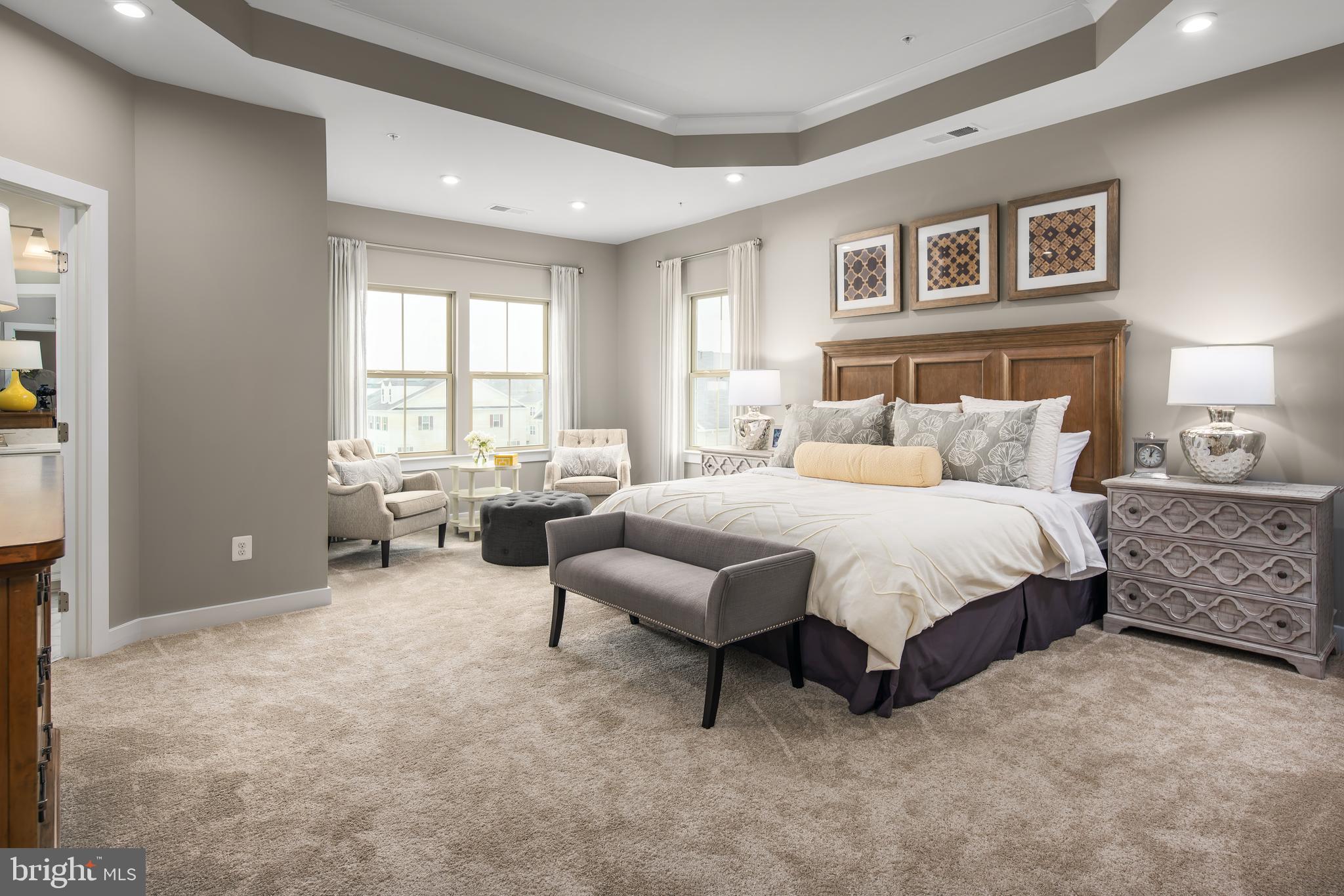 14530 Mattawoman Drive, Unit K Brandywine, MD 20613 - Photo 9 of 16 Owner's Suite with Tray Ceiling