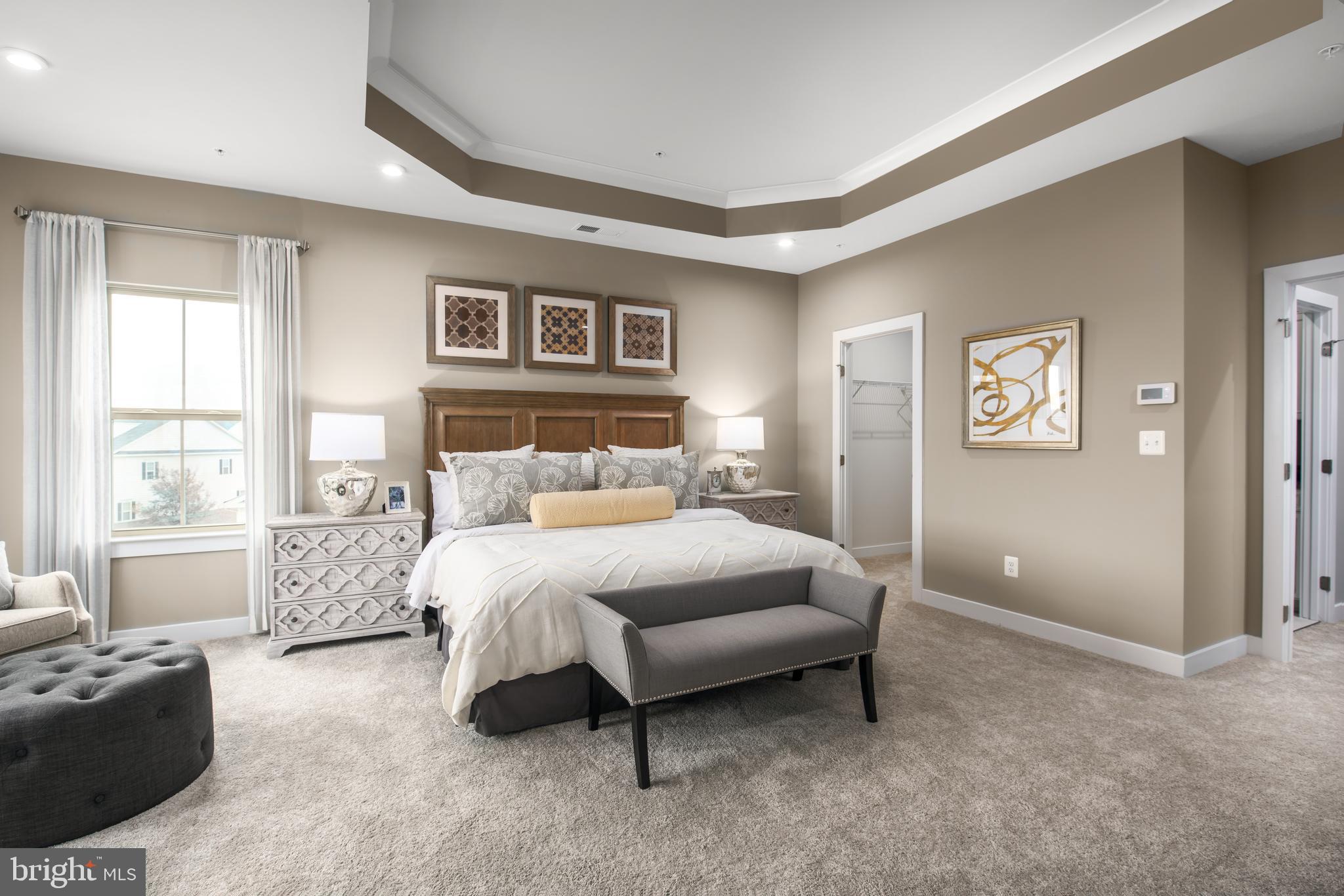 14530 Mattawoman Drive, Unit K Brandywine, MD 20613 - Photo 10 of 16 Owner's Suite with Tray Ceiling