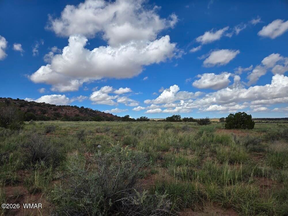 3861 Coronado Road Snowflake, AZ 85937 - Photo 18 of 29 Gallery Image 18