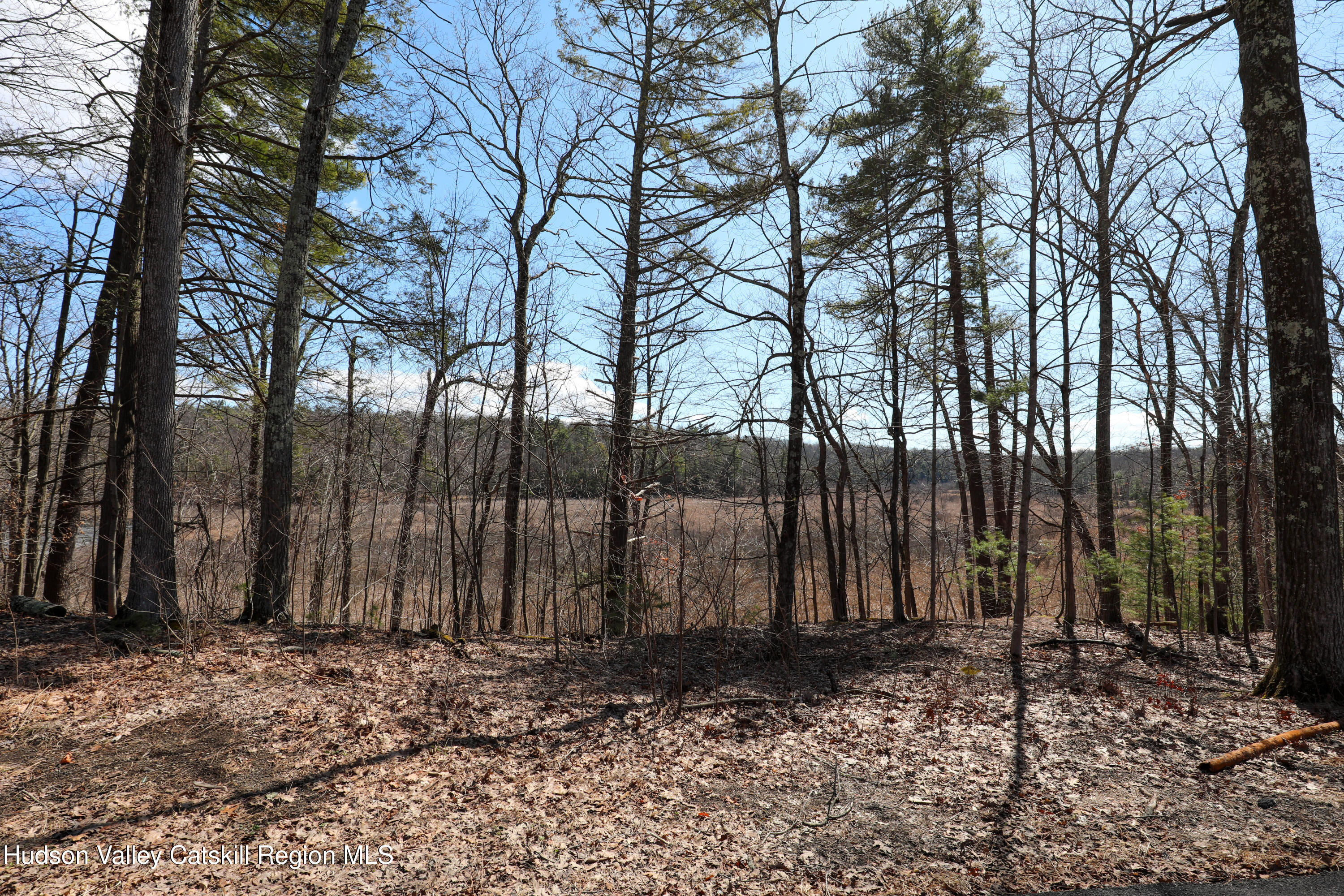 176 Lake Road Lake Katrine, NY 12449 - Photo 2 of 5 a view of a backyard of the house