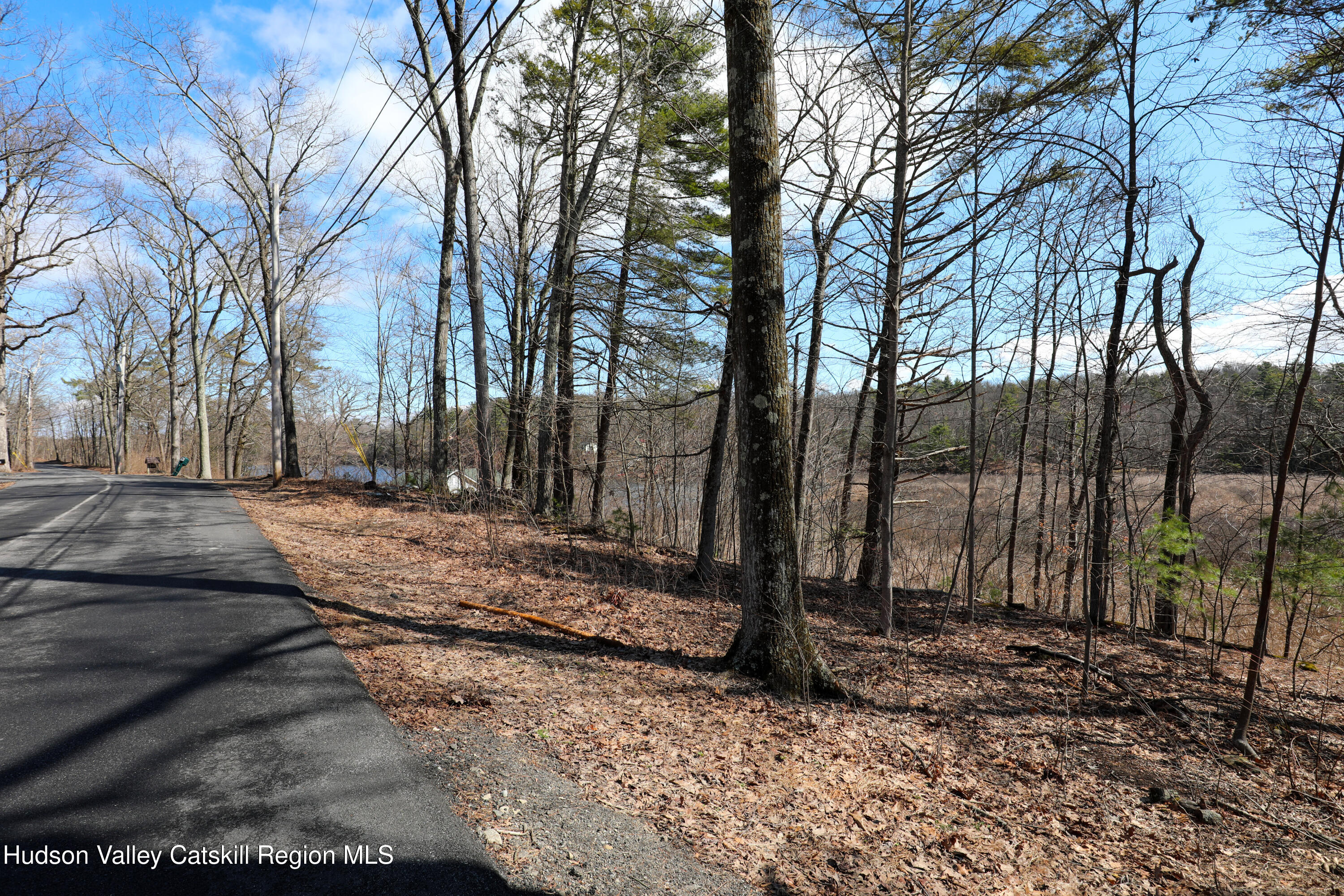 176 Lake Road Lake Katrine, NY 12449 - Photo 3 of 5 a view of a backyard with large trees