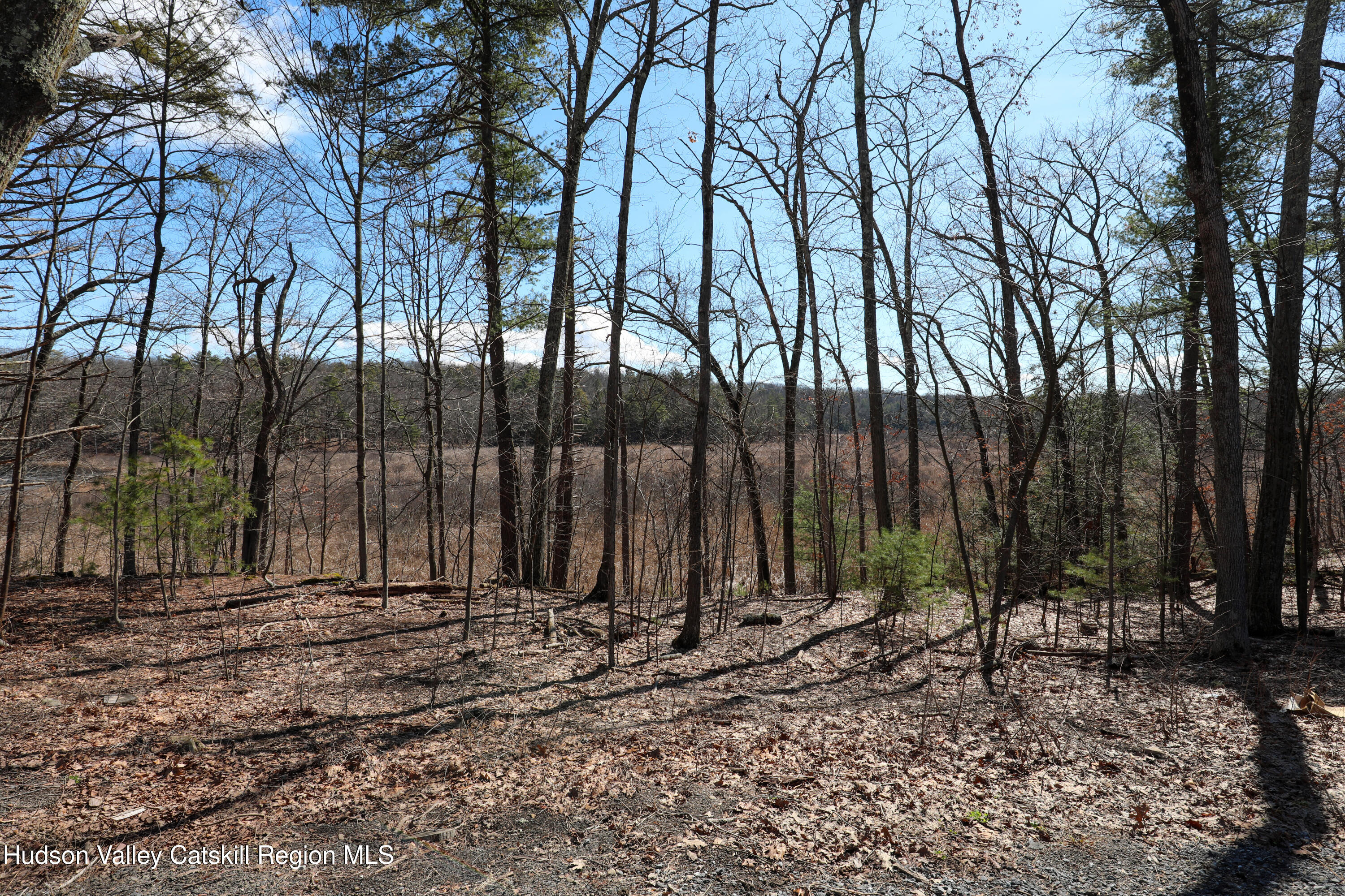 176 Lake Road Lake Katrine, NY 12449 - Photo 4 of 5 a view of outdoor space with wooden fence