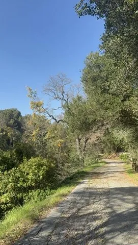 $11,000,000 | 2100 Woods Lane, Los Altos, CA 94024