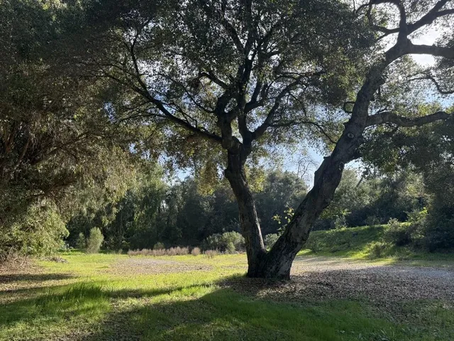 $11,000,000 | 2100 Woods Lane, Los Altos, CA 94024