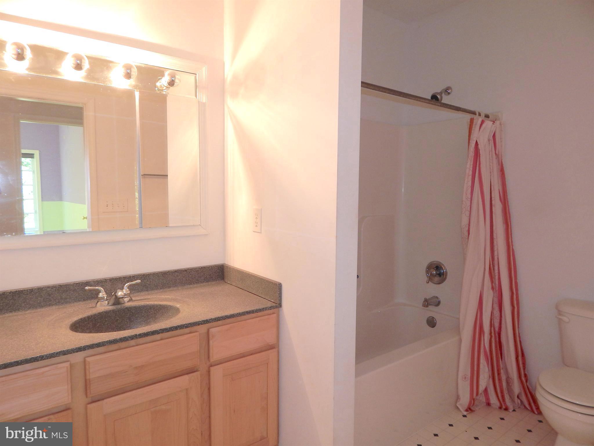 65 Sycamore Ridge Road Fredericksburg, VA 22405 - Photo 23 of 30 Spacious Full Bath in finished Basement area