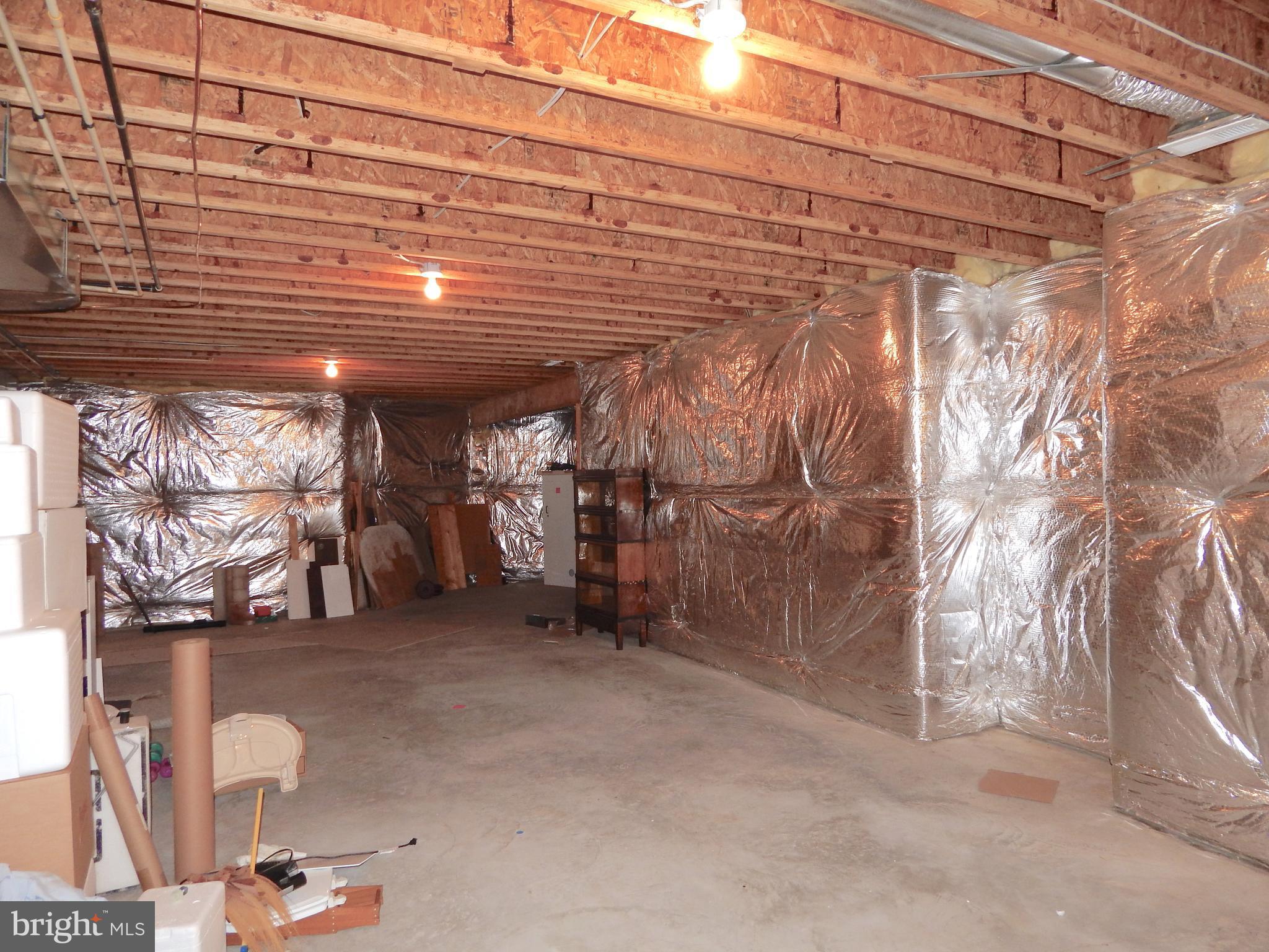65 Sycamore Ridge Road Fredericksburg, VA 22405 - Photo 24 of 30 Tall ceilings in Basement-lots of Storage Space
