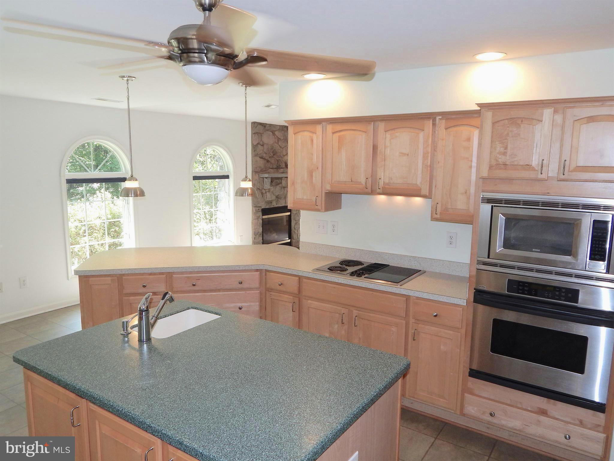 65 Sycamore Ridge Road Fredericksburg, VA 22405 - Photo 4 of 30 Corian Island w/Sink - SS Ovens, Downdraft Cooktop