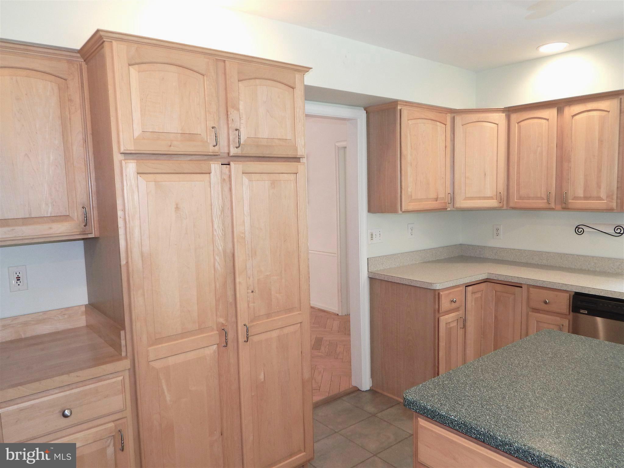 65 Sycamore Ridge Road Fredericksburg, VA 22405 - Photo 5 of 30 Deep Pantry-Butcher Block Cutting Board Countertop