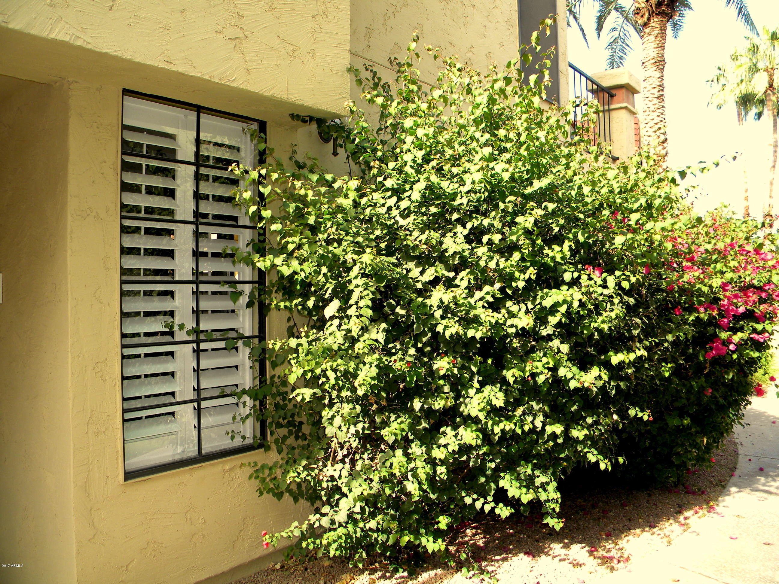 9707 East Mountain View Road, Unit 1410 Scottsdale, AZ 85258 - Photo 6 of 30 DSCN2419