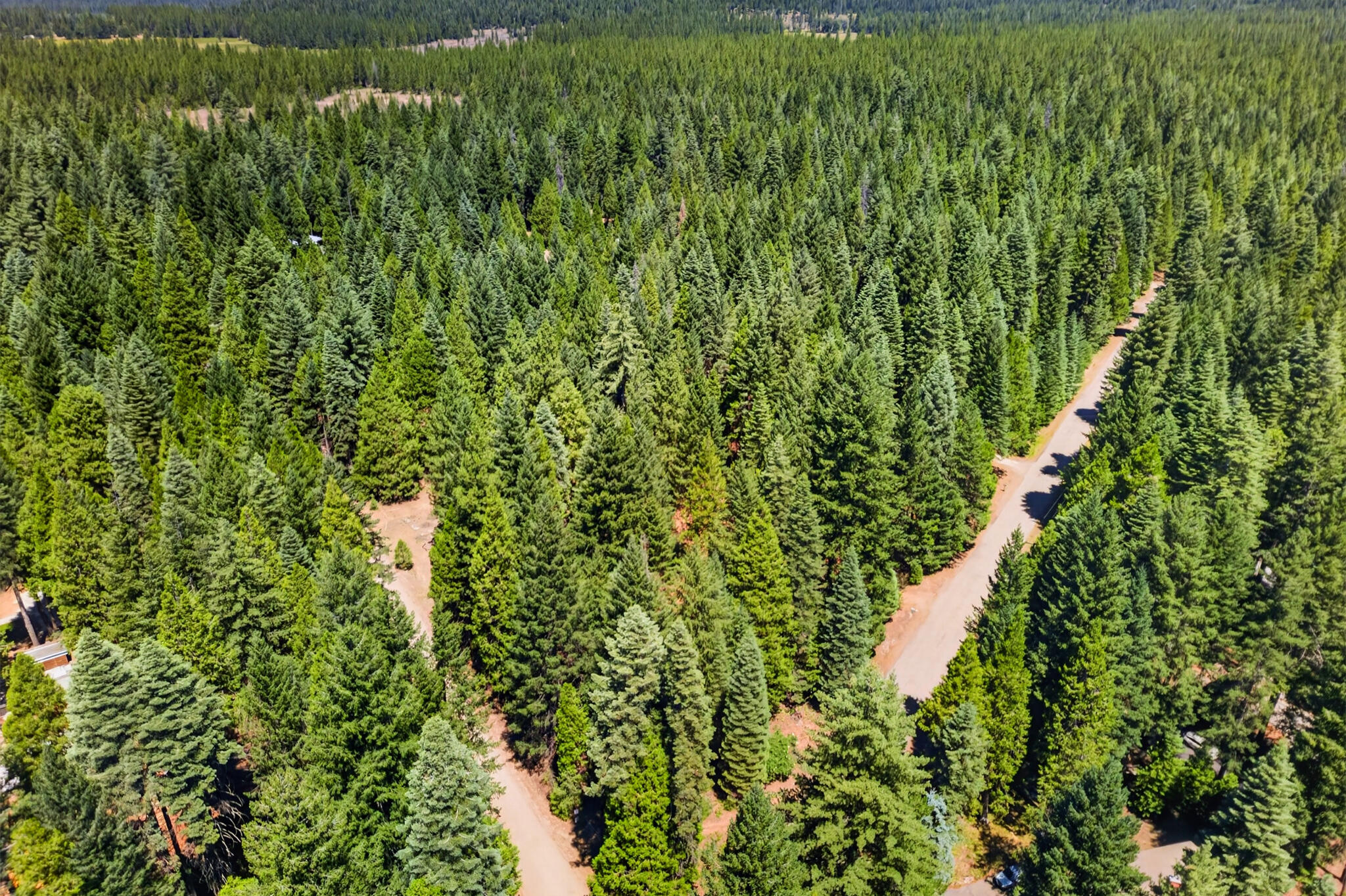 9426 Thatcher Mill Road Shingletown, CA 96088 - Photo 31 of 32 PixelsByPanitha_9426ThatcherMillRdShingl