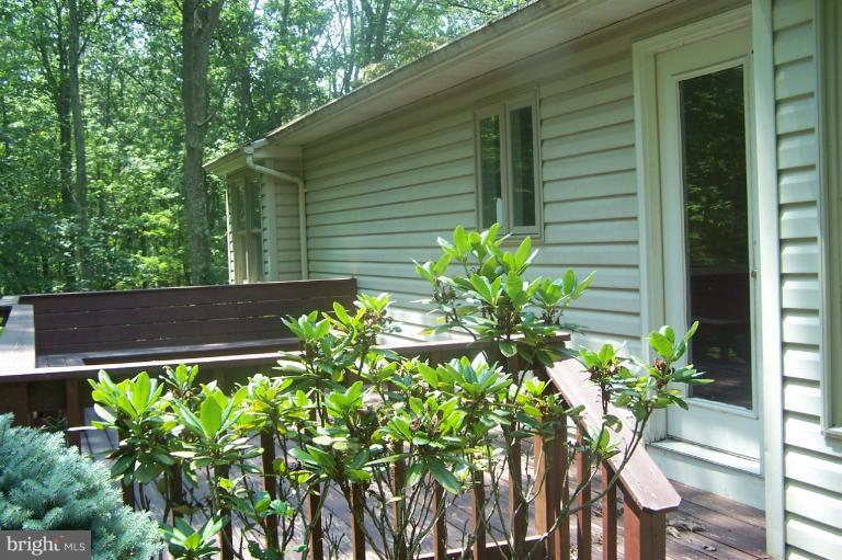 372 Reynolds Road Cross Junction, VA 22625 - Photo 17 of 20 Exterior (Rear)
