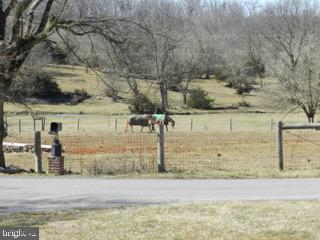 918 Wadesville Road Berryville, VA 22611 - Photo 33 of 45 Horses grazing view from front yard