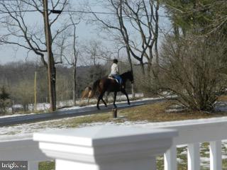 918 Wadesville Road Berryville, VA 22611 - Photo 34 of 45 Equestrians riding down the country road