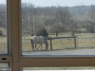 918 Wadesville Road Berryville, VA 22611 - Photo 36 of 45 Horses grazing view