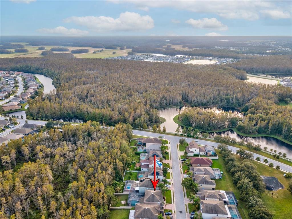 12830 Solola Way Trinity, FL 34655 - Photo 62 of 71 Gallery Image 62