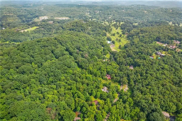 a view of a big yard with plants and large trees