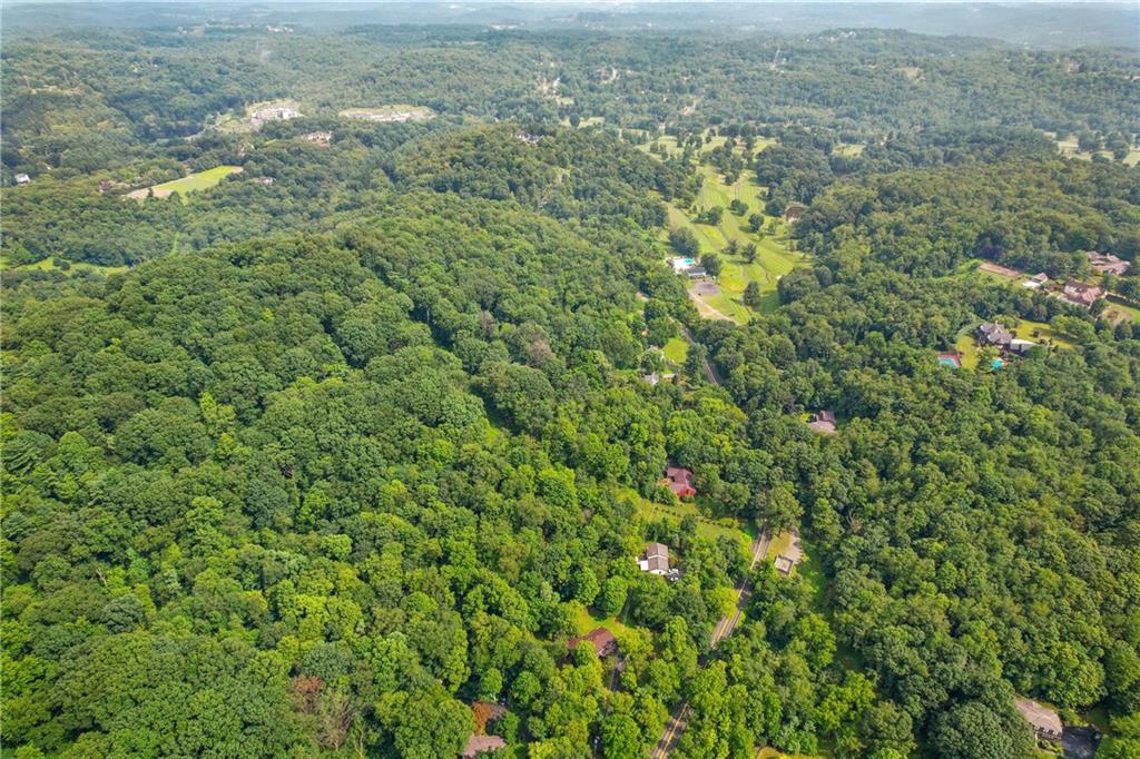 4309 Bulltown Road Murrysville, PA 15668 - Photo 31 of 34 a view of a big yard with plants and large trees