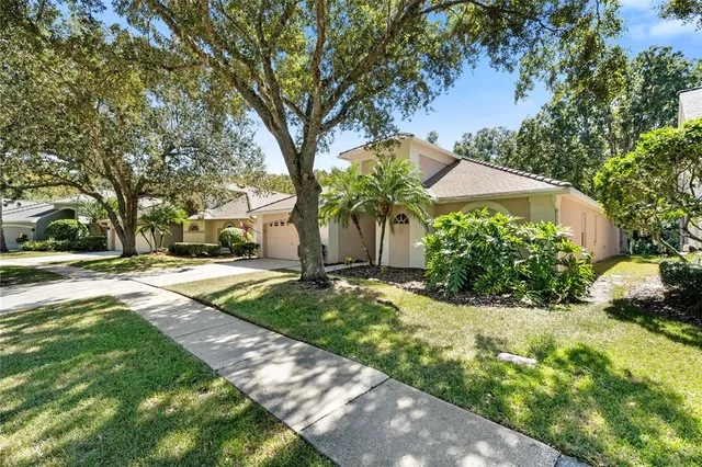 a view of yard with green space