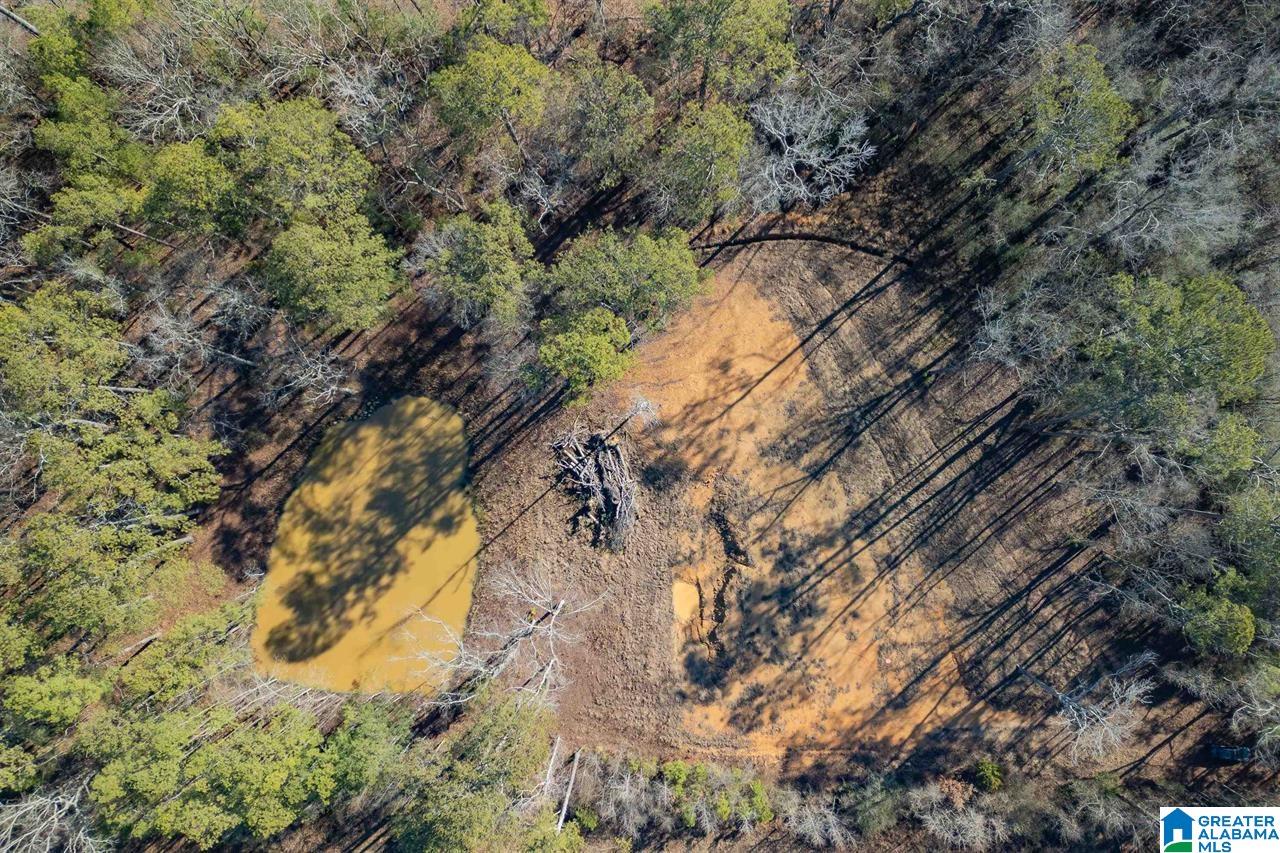 510 Cobb Road Oxford, AL 36203 - Photo 6 of 17