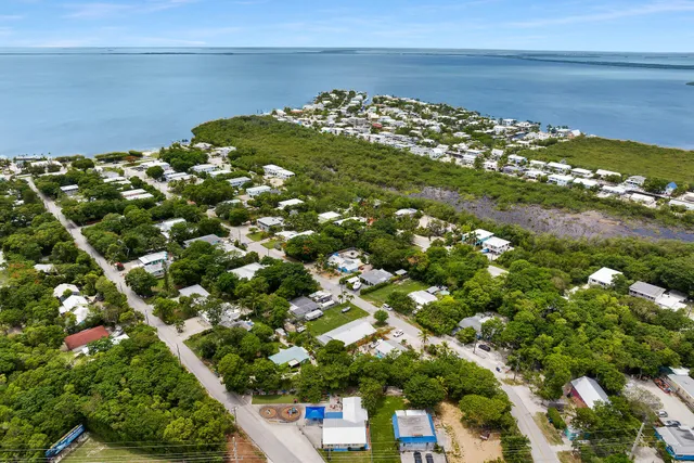 a picture of flowers