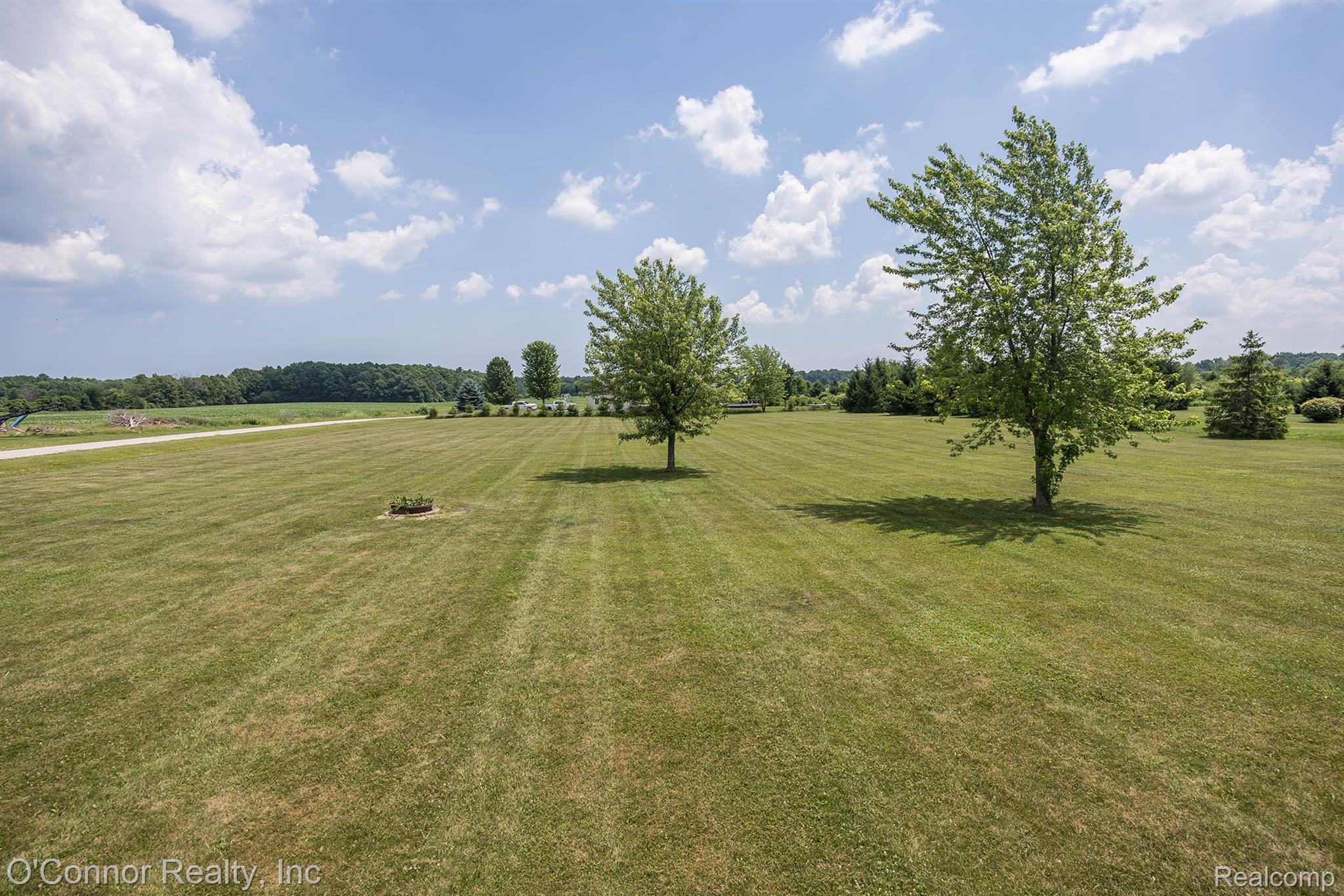 6870 Wildcat Road Jeddo, MI 48032 - Photo 41 of 44 Expansive green lawn with mature trees and a distant tree line