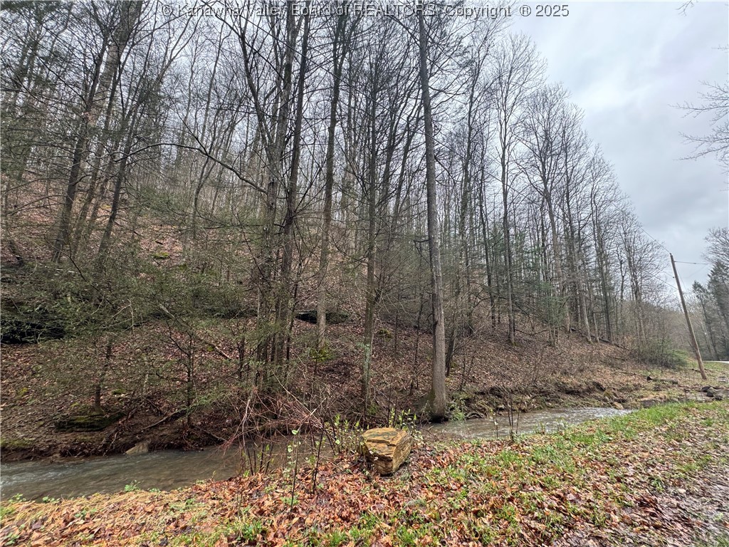 0 Groves-Wattsville Road Ivydale, WV 25113 - Photo 1 of 29 Gallery Image 1