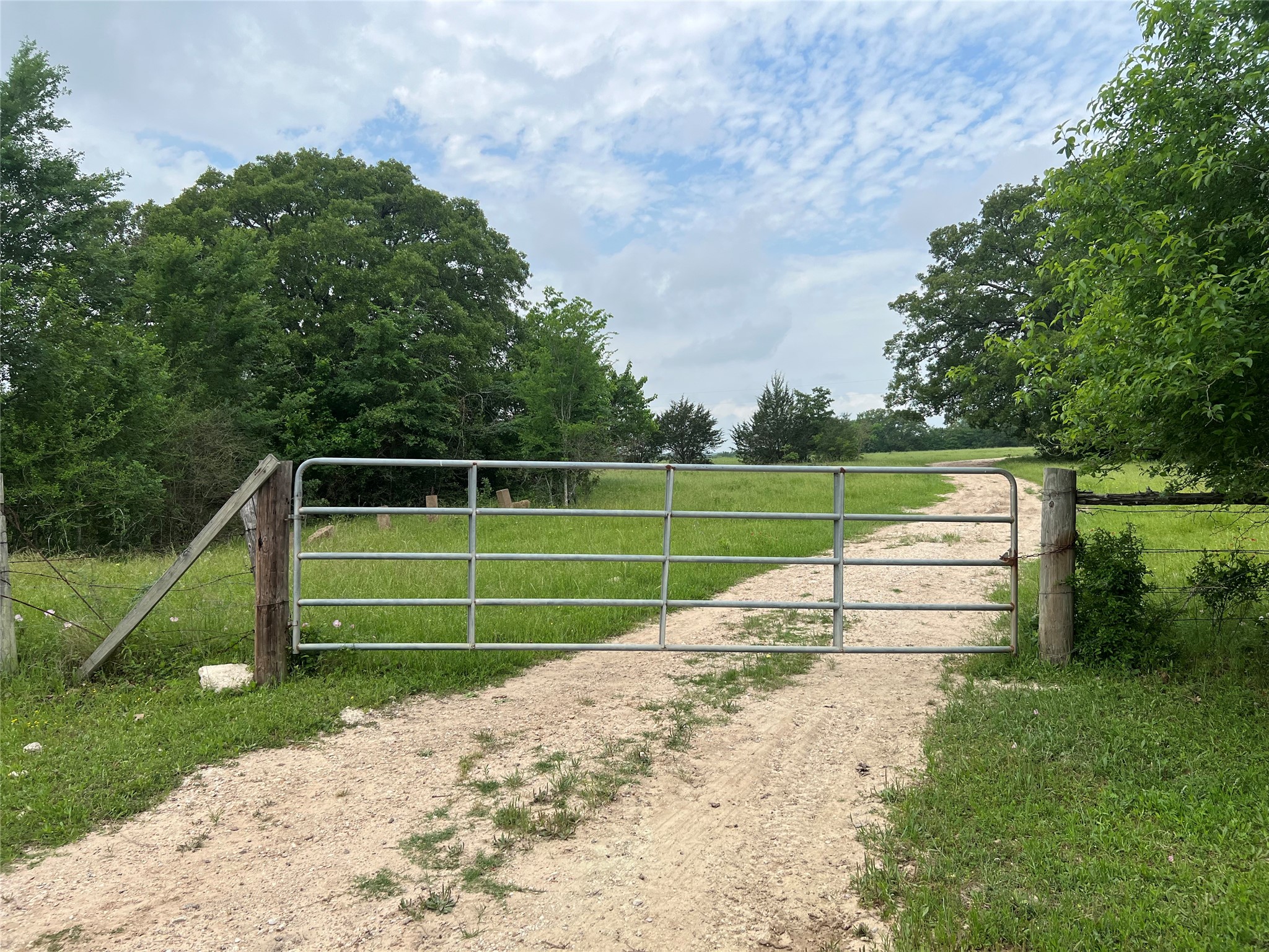 50 Acres Navasota, TX 77868 - Photo 1 of 21 a view of a park