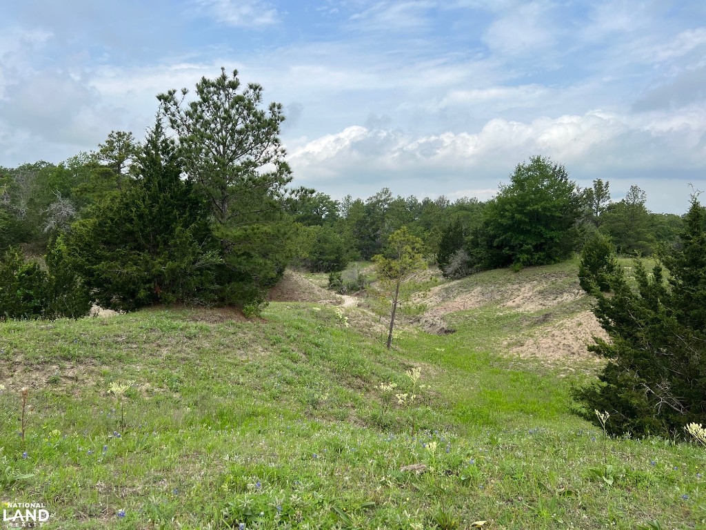 50 Acres Navasota, TX 77868 - Photo 11 of 21 a backyard of a house with lots of green space