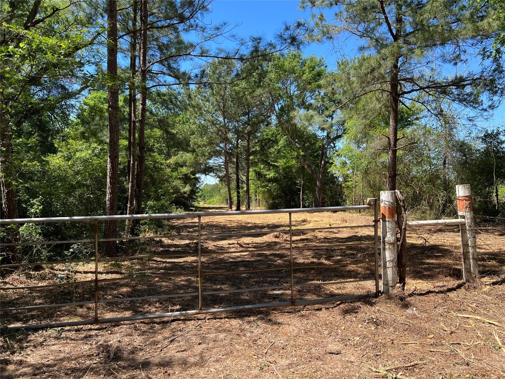 50 Acres Navasota, TX 77868 - Photo 16 of 21 a view of a field with trees in the background