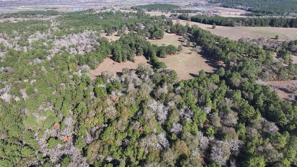 50 Acres Navasota, TX 77868 - Photo 18 of 21 a view of a lake with a house