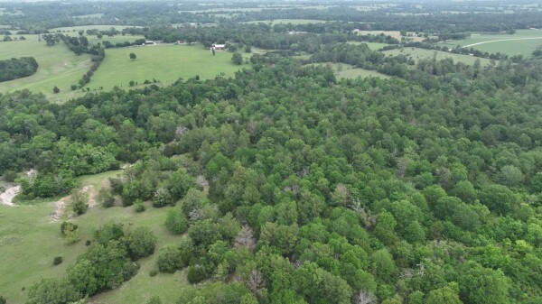 50 Acres Navasota, TX 77868 - Photo 19 of 21 an aerial view of a houses with a lake view