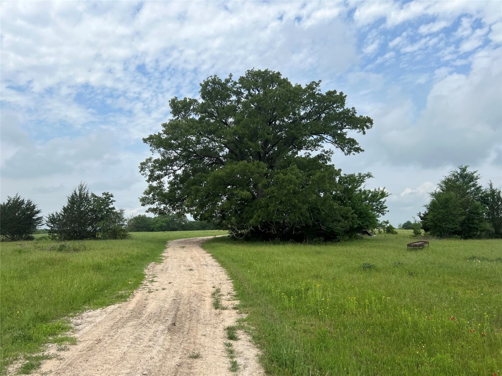 50 Acres Navasota, TX 77868 - Photo 2 of 21 a view of a park with trees in the background
