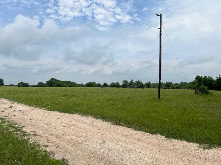 50 Acres Navasota, TX 77868 - Photo 3 of 21 a view of a park with large trees