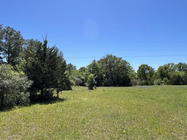 50 Acres Navasota, TX 77868 - Photo 4 of 21 a view of a green field with trees in the background