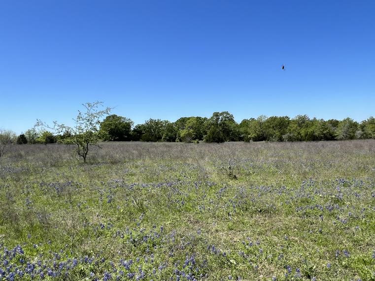 50 Acres Navasota, TX 77868 - Photo 5 of 21 a view of a lake with houses in the back