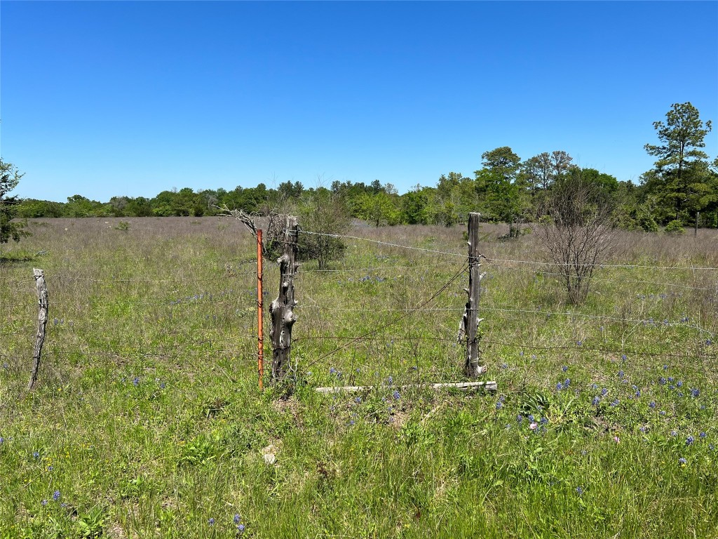 50 Acres Navasota, TX 77868 - Photo 6 of 21 a large body of water with a tree in the background