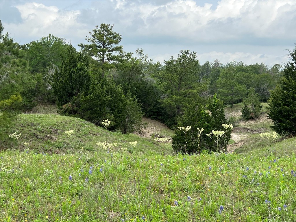 50 Acres Navasota, TX 77868 - Photo 7 of 21 a backyard of a house with lots of green space and outdoor seating
