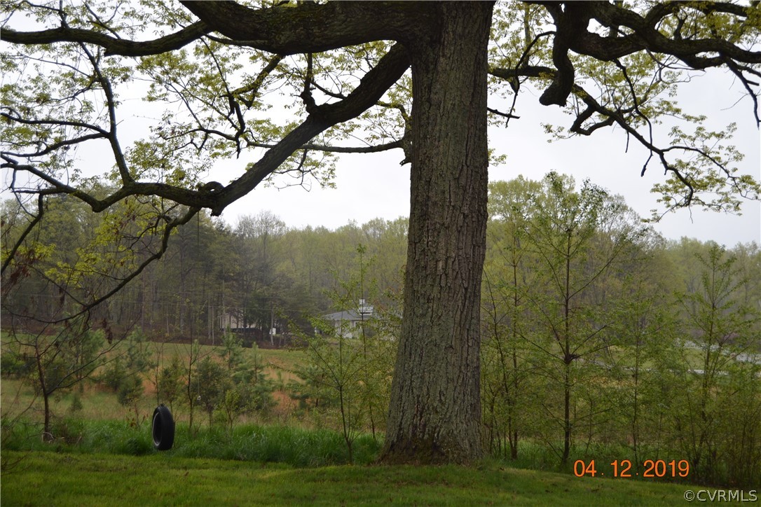 8180 Plank Road Dillwyn, VA 23936 - Photo 4 of 5 a view of a yard