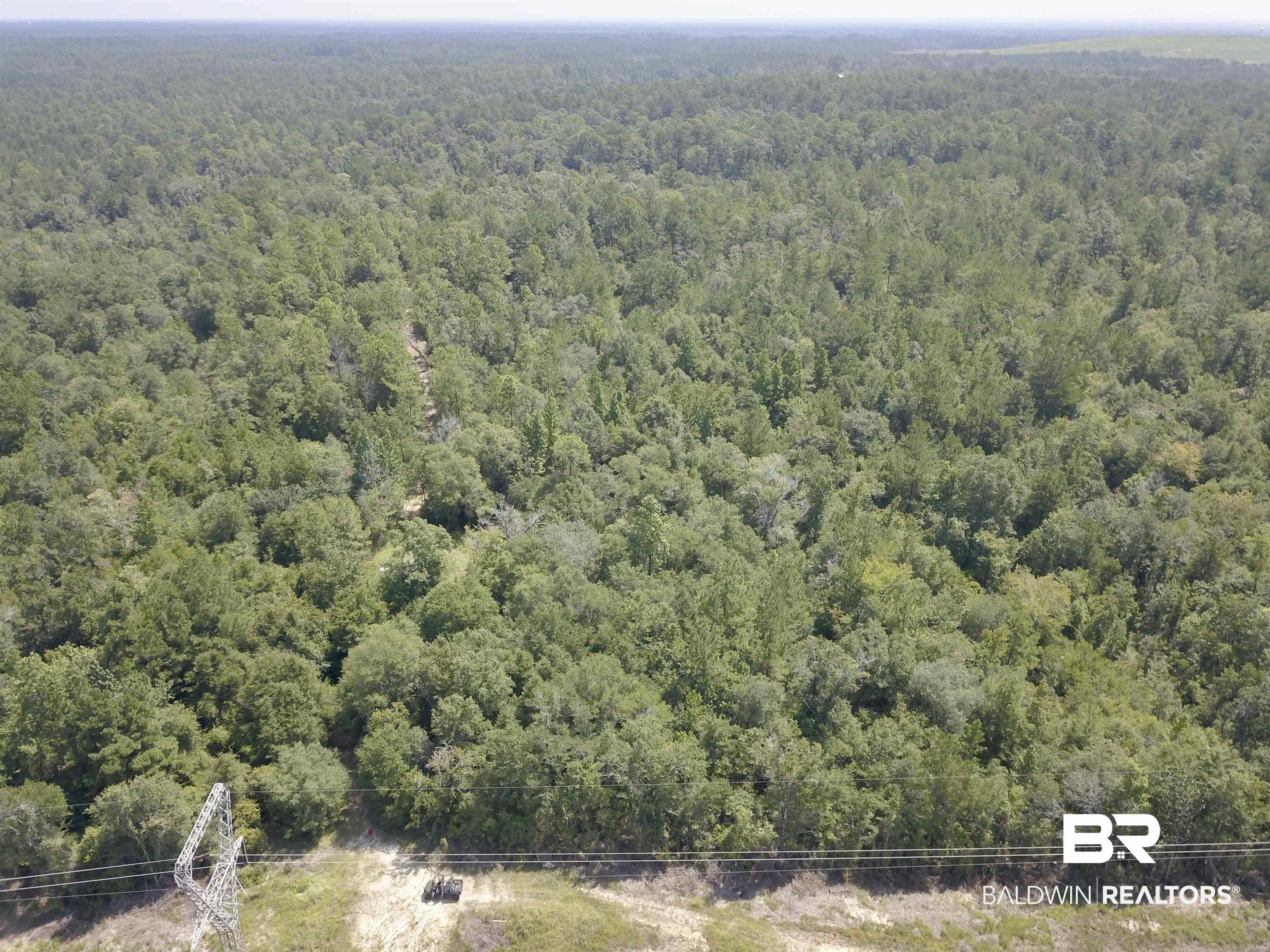 17175 Kelly Road Mount Vernon, AL 36560 - Photo 9 of 30 Aerial view