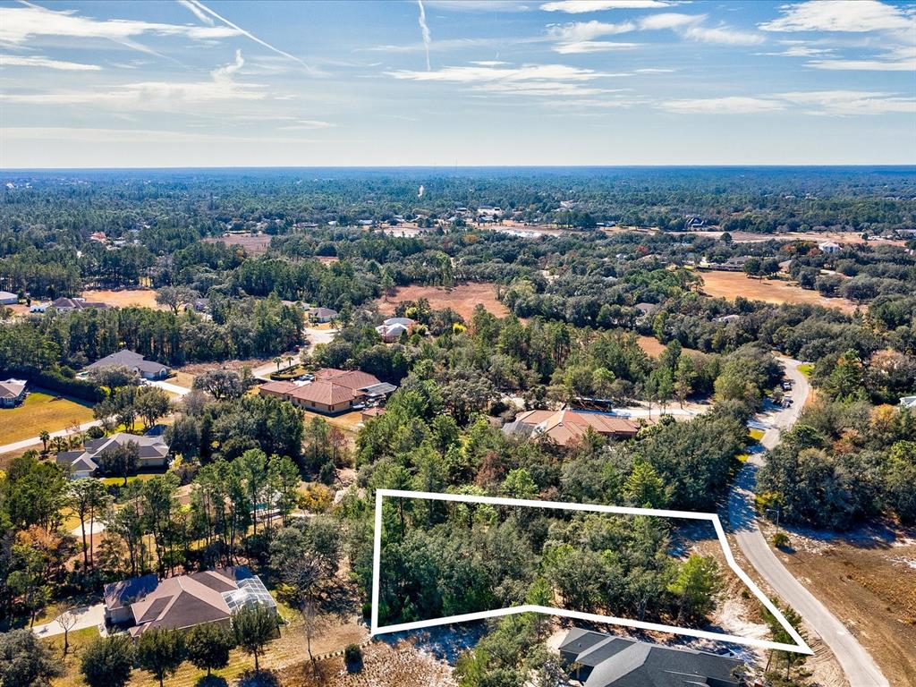 9630 Wilderness Trail Weeki Wachee, FL 34613 - Photo 6 of 10