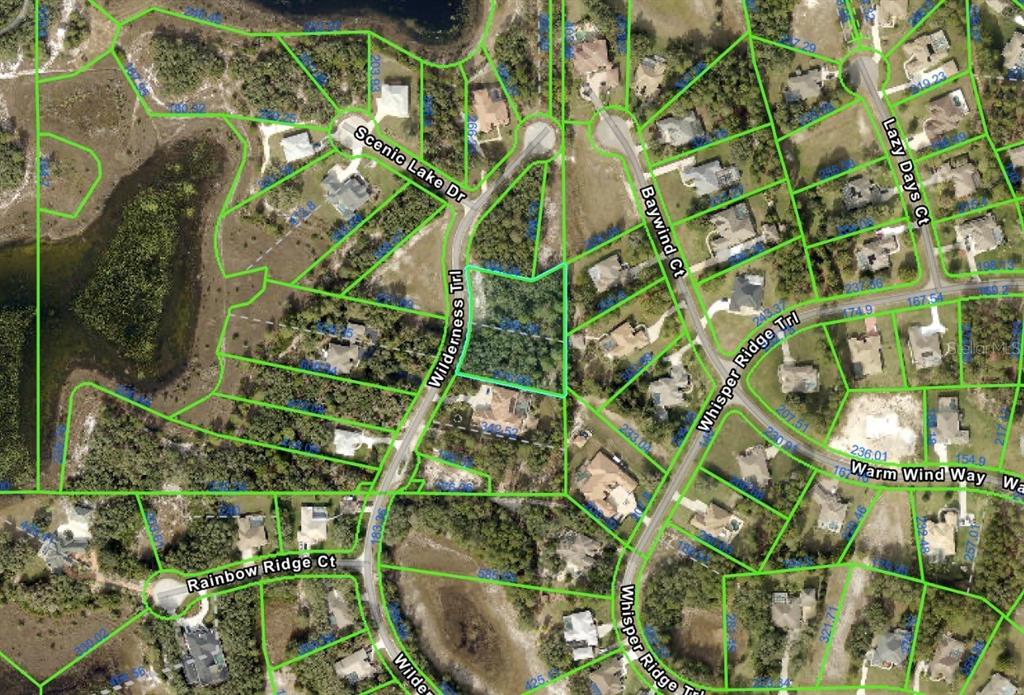 9630 Wilderness Trail Weeki Wachee, FL 34613 - Photo 7 of 10 a close up of a plant in a garden