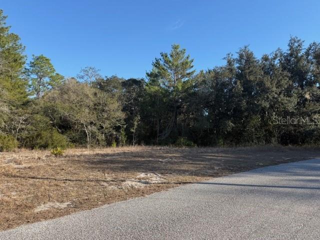 9630 Wilderness Trail Weeki Wachee, FL 34613 - Photo 9 of 10