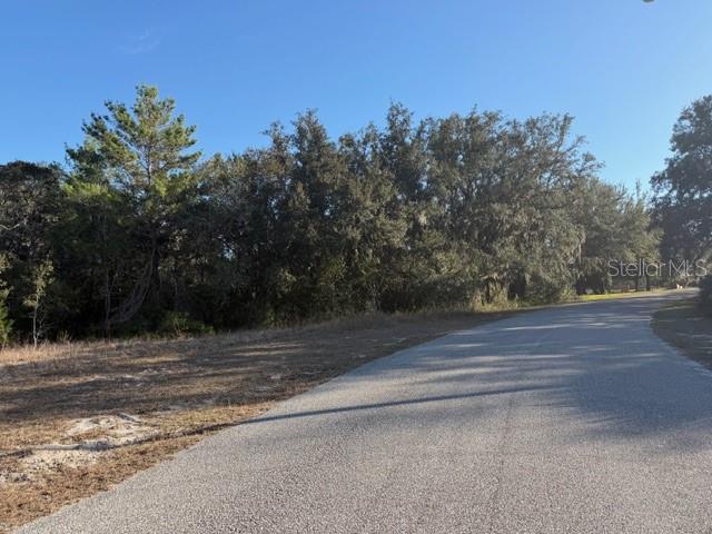 9630 Wilderness Trail Weeki Wachee, FL 34613 - Photo 10 of 10
