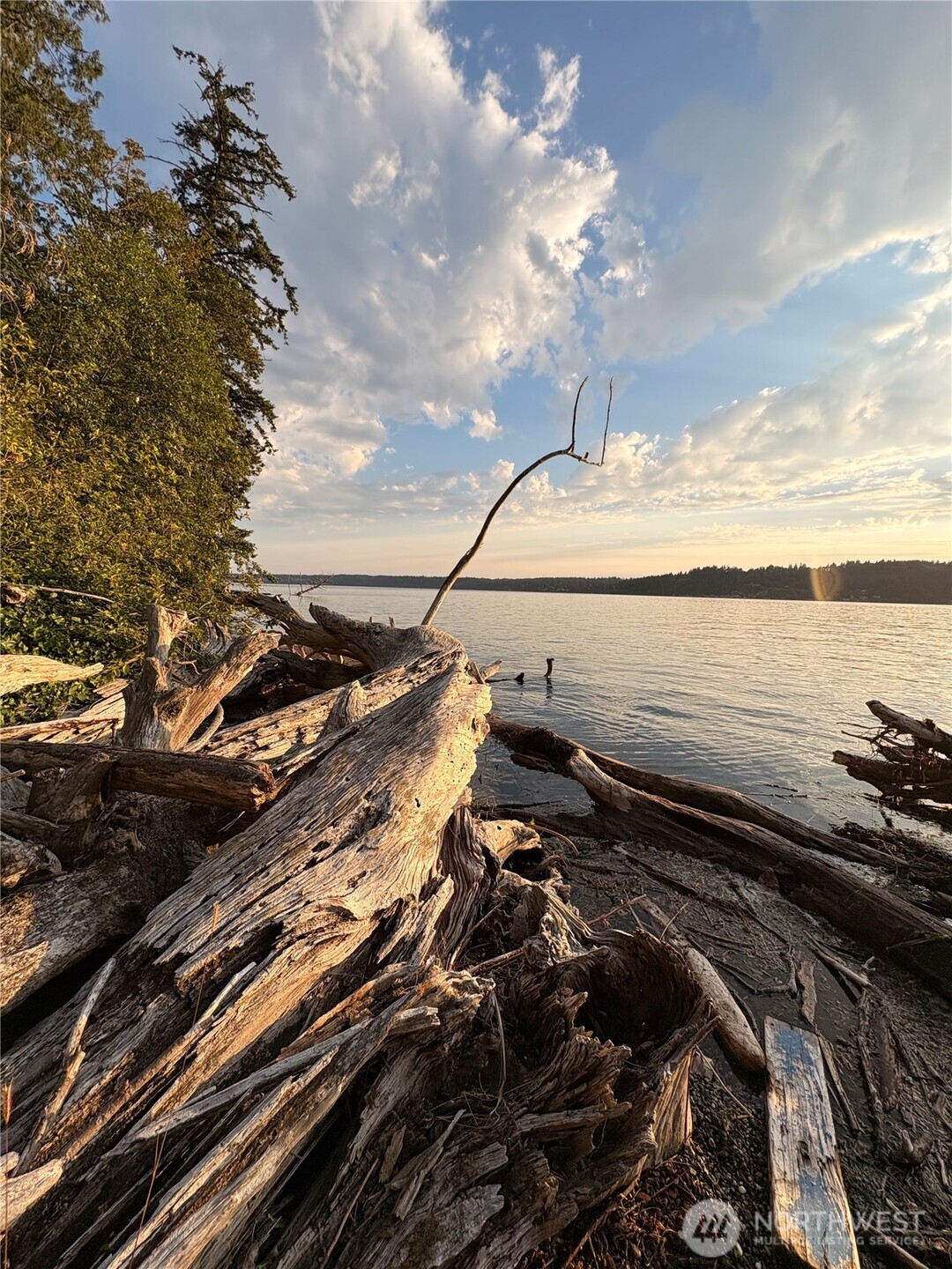 0 Robinwood Road Southwest Vashon, WA 98070 - Photo 7 of 10 Gallery Image 7