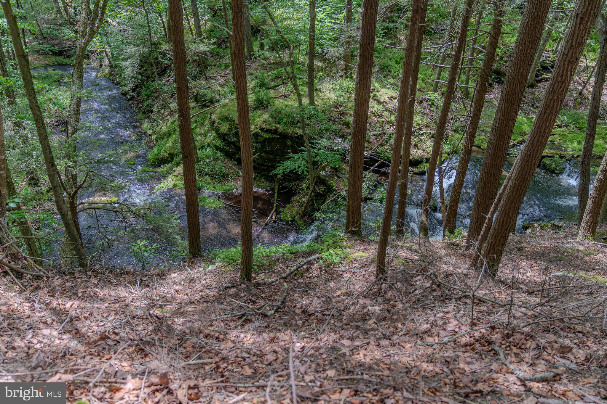 0 Cummins Hill Road Matamoras, PA 18336 - Photo 101 of 116 Serene forest stream in lush greenery.
