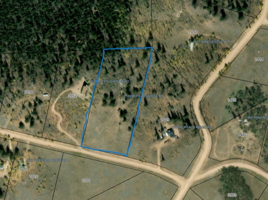 2189 Buffalo Ridge Road Como, CO 80456 - Photo 1 of 10 Gallery Image 1