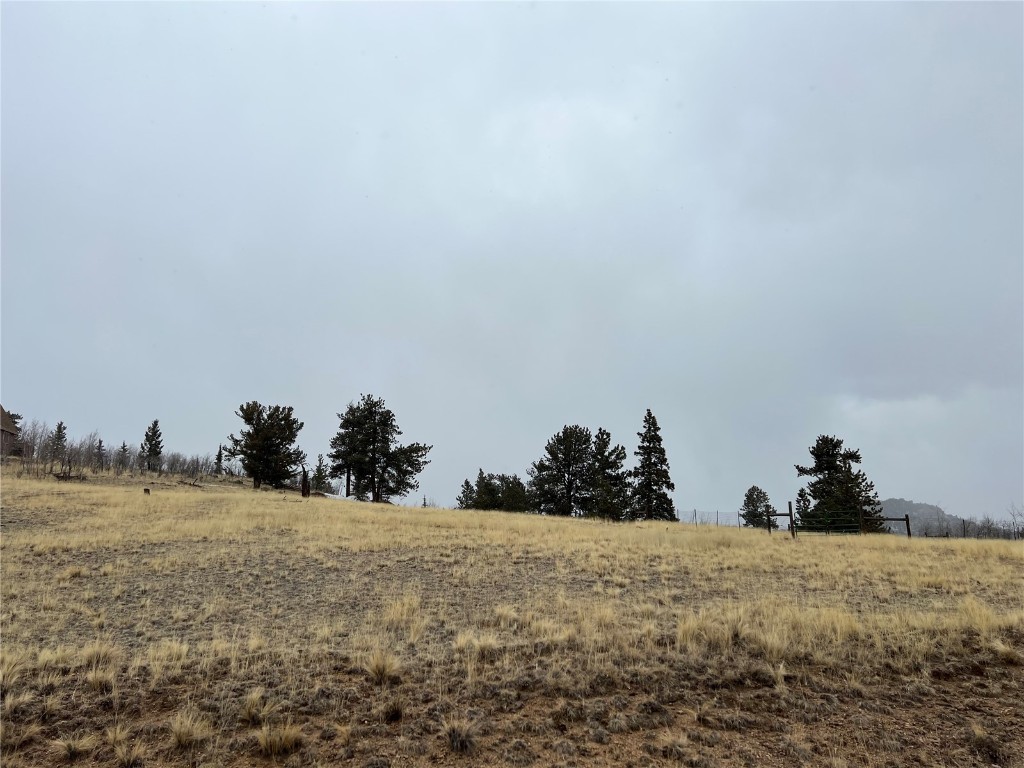 2189 Buffalo Ridge Road Como, CO 80456 - Photo 3 of 10 Gallery Image 3